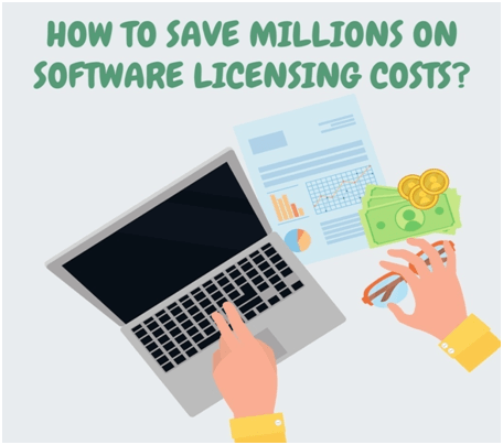 software licensing costs